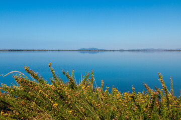 view of the Orbetello lagoon nature reserve