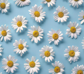 Seamless pattern with daisies on blue background. Top view. Spring concept for banner, card, wallpaper.
