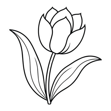 illustration of a tulip flower coloring page.