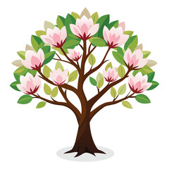 Magnolia tree Isolated flat vector illustration.