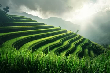 Deurstickers rice terraces in island © Mehr