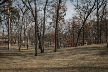 Irpin, Ukraine. On the morning of February 26, 2024, the weather was very warm at the end of winter. people are walking in the parks near the lake. beautiful forests in the middle of the city.