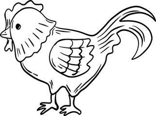 sketch chicken hand drawn
