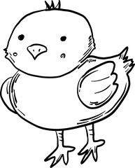 sketch chick hand drawn