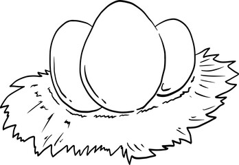 sketch eggs hand drawn
