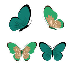 Butterfly vector illustration. Isolated cartoon set icon decorative insect . Vector cartoon set icon butterfly.