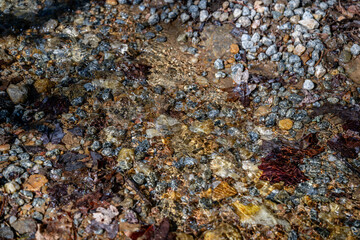 stream