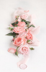Light pink roses, petals and buds, green leaves and silk ribbons close up on white