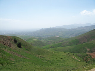 Fototapeta na wymiar green hills from a height of