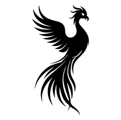 Obraz premium illustrations of phoenix birds