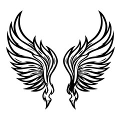 Obraz premium two Vintage angel wings