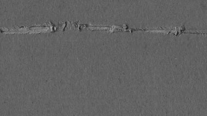 Cardboard Black And White Texture