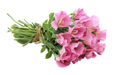 Sweet Pea Bouquets Bringing Nature Indoors On Transparent Background.