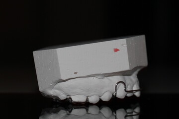 dental technician model orthosis resin wax tooth
