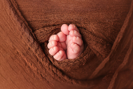 Petits Petons