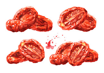Dried tomatoes set. Hand drawn watercolor illustration, isolated on white background - obrazy, fototapety, plakaty