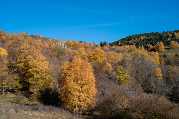 autumn colors in the mountains