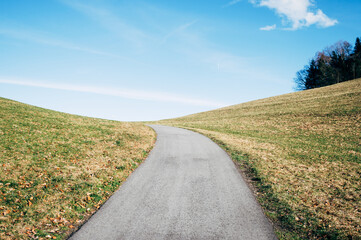 Paved path in the Alps in spring