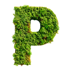 Green moss in shape alphabet letter P isolated on white, clipping path, top view