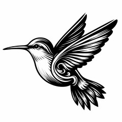 Obraz premium hummingbird vecor style PNG image with abstract line and color
