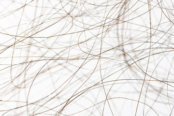 Macro close up of isolated gray and brown human hair strand follicles texture overlay
- 746596565