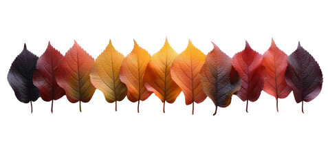 The leaves are stacked in layers. on a white background Image generated by AI