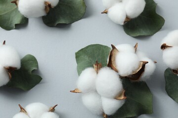 Cotton flowers and eucalyptus leaves on light grey background, above view