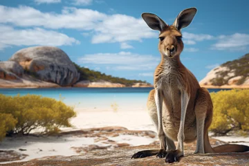 Foto auf Acrylglas Cape Le Grand National Park, Westaustralien Kangaroo at Lucky Bay in the Cape Le Grand National
