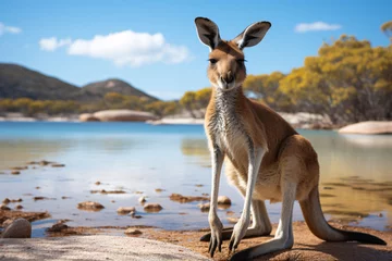 Foto auf Acrylglas Cape Le Grand National Park, Westaustralien Kangaroo at Lucky Bay in the Cape Le Grand National