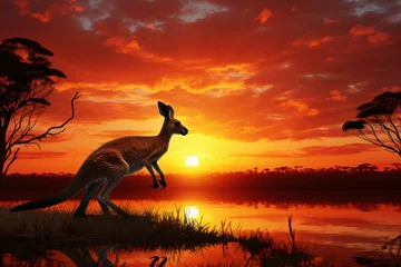 Schilderijen op glas kangaroo sunset australia © wendi