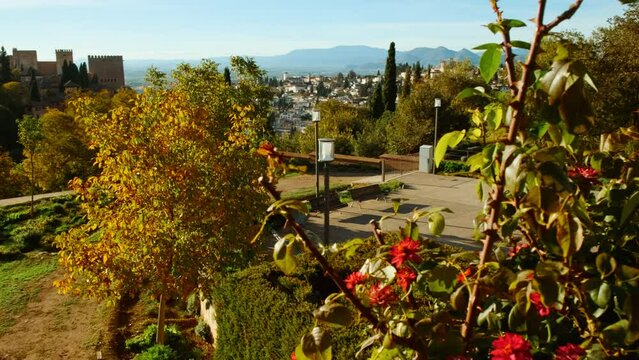 The Alhambra Palace seen from the Generalife Gardens in Granada, Andalucia, Spain, blending architectural majesty with natural beauty