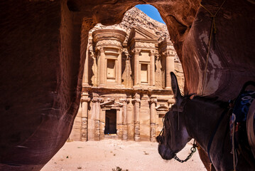 View from inside of a cave of a donkey looking at the Monastery in Petra, Jordan