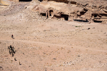Aerial view of a herd of goats and tombs in the ruins of Petra, Jordan