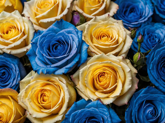 Vibrant pattern of blue and yellow roses
