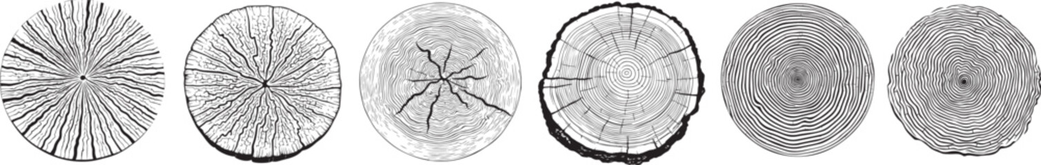 rings on a tree, tree circles