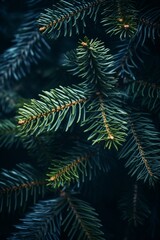 Fototapeta na wymiar Green pine cones with green leaves background.