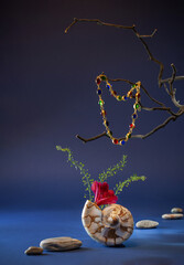still life with seashell,  jewellery on branch and flower on dark blue background