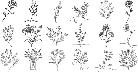flowers and herbs drawn with thin line in doodle style - obrazy, fototapety, plakaty