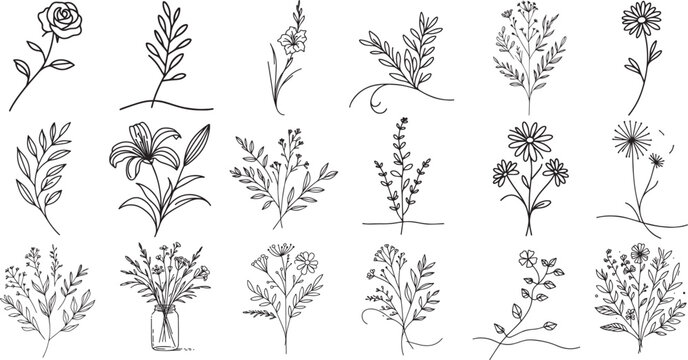 flowers and herbs drawn with thin line in doodle style