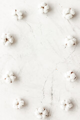 Cotton flowers frame on white background top view copy space