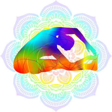 Colorful silhouette of yoga. Parivritta Janu Shirshasana. Revolved Head to Knee pose. Intermediate Difficulty. Isolated vector illustration