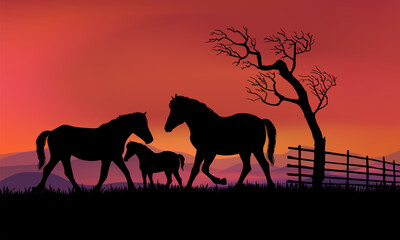Horses silhouette in grass, meadow over sunset sky in forest landscape vector illustration background.