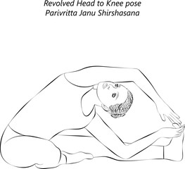 Sketch of woman doing yoga Parivritta Janu Shirshasana. Revolved Head to Knee pose. Intermediate Difficulty. Isolated vector illustration.