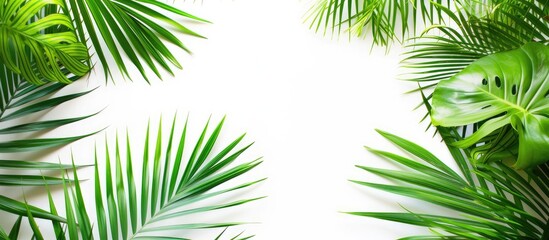 Several vibrant green palm leaves spread out across a plain white background. The leaves are various sizes, shapes, and shades of green, creating a visually striking contrast against the stark white