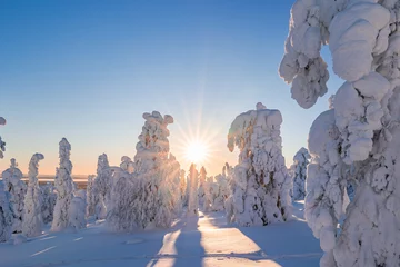Keuken spatwand met foto winter landscape with snow © Artem