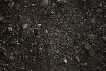 soil background, natural rocky ground