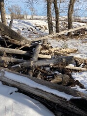 Fototapeta na wymiar Alberta Prairie in winter with valley and field