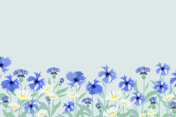 Cornflower background border frame.  German National flower emblem vector illustration. 