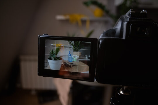 A young woman films a video blog and happily plants bright flowers. Reflecting the essence of gardening and flower care, the art of growing plants. Suitable for lifestyle, gardening and vlogging.