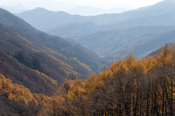 View of the autumn mountains